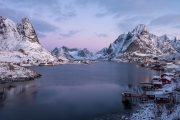 Reine