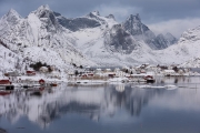 Reine