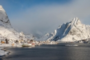 Reine