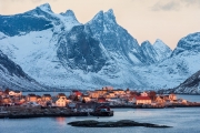 Reine