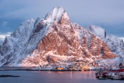 Reine
