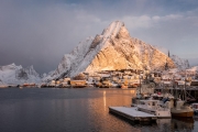 Reine