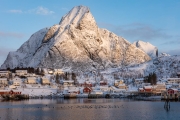 Reine