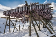 fish drying racks, Sound