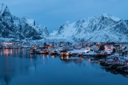 Reine