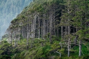 Oregon Coast