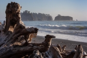 Rialto Beach, Olympic National Park, Washington