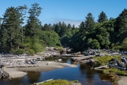 Kalaloch, Olympic National Park, Washington