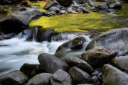 Solduc rainforest, Olympic National Park, Washington