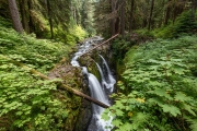 Solduc Falls, Olympic National Park, Washington