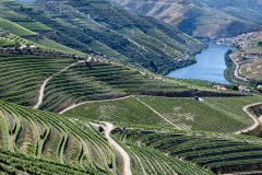 Portugal - Douro River Valley