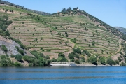 Douro River Valley