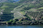 Douro River Valley