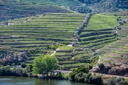 Douro River Valley