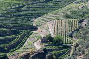 Douro River Valley