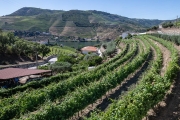 Douro River Valley