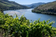 Quinta do Espinho