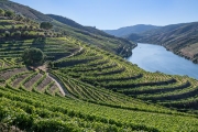 Quinta do Espinho