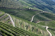 Douro River Valley
