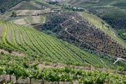 Douro River Valley