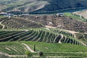 Douro River Valley