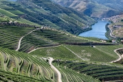 Douro River Valley
