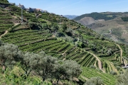Douro River Valley