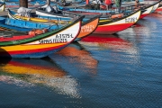 Moliceiros on the Aveiro Lagoon
