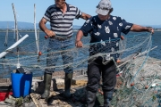 Fishermen and women on the Aveiro Lagoon