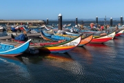 Moliceiros on the Aveiro Lagoon