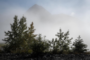 Turnagain Arm