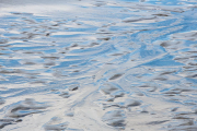 mudflats, Turnagain Arm