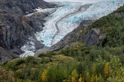 Exit Glacier