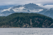 Resurrection Bay