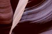 Canyon X