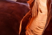 Canyon X