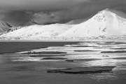 St. Jons Fjord