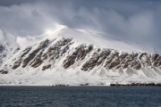 St Jons Fjord