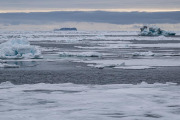 icebergs, polar pack ice