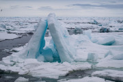 icebergs, polar pack ice