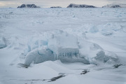 icebergs, polar pack ice