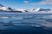 St. Jons Fjord
