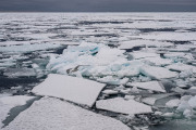 Svalbard