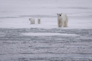 Svalbard