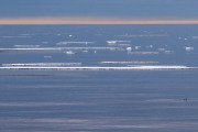 Svalbard