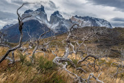 Las Cuernos and fire scarred landscape