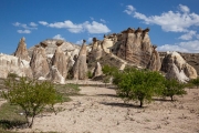 grape vines and fairy chimneys, Cappadocia