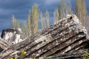 Aphrodisias