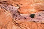 South Coyote Buttes