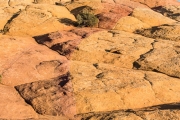 South Coyote Buttes